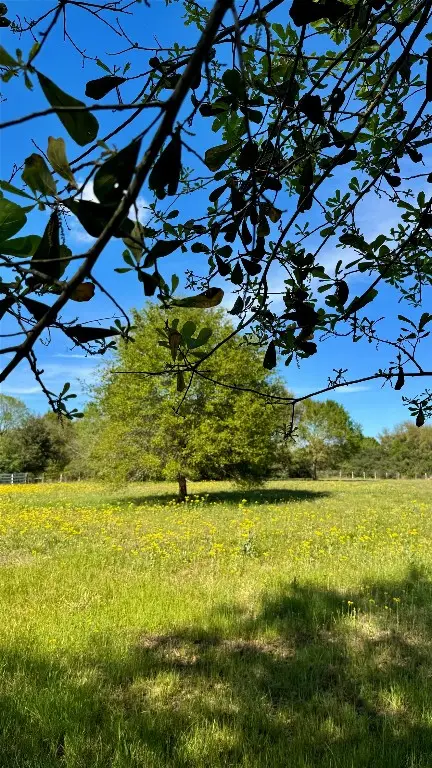 0 Meadow Creek Road, Hockley, TX 77447 - #1