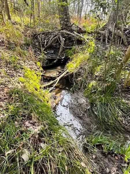 9870 Pr 1115, Leona, TX 75850 - Image #1