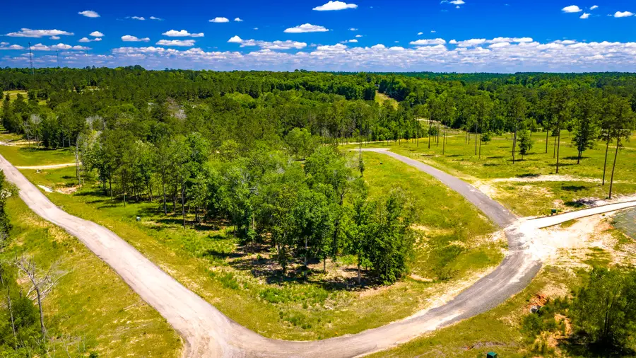 TBD Lot 15 - Addison Road, Livingston, TX 77351 - #3