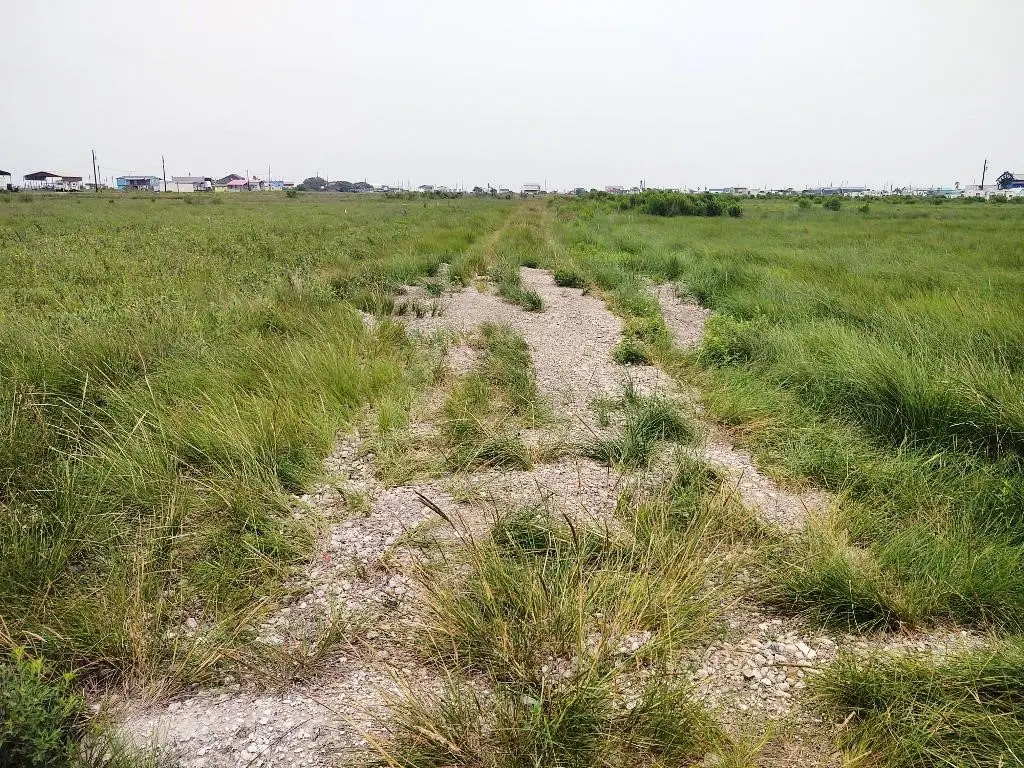 226 Terrapin Street, Sargent, TX 77414 - Image #1