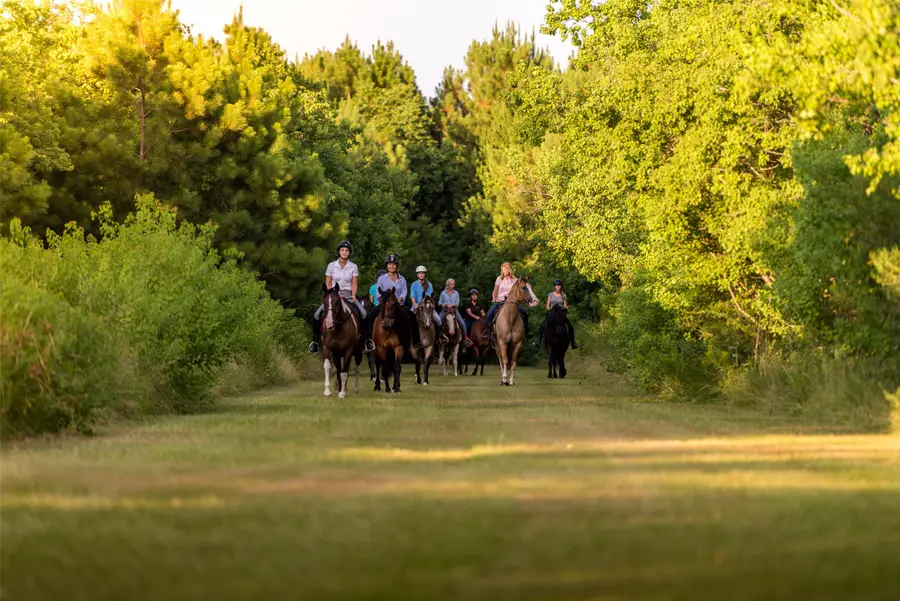 35 Sunlit Song Lane, Tomball, TX 77377 - Image #3