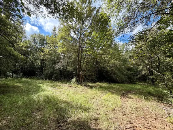 7217 Pr 2110, Centerville, TX 75833