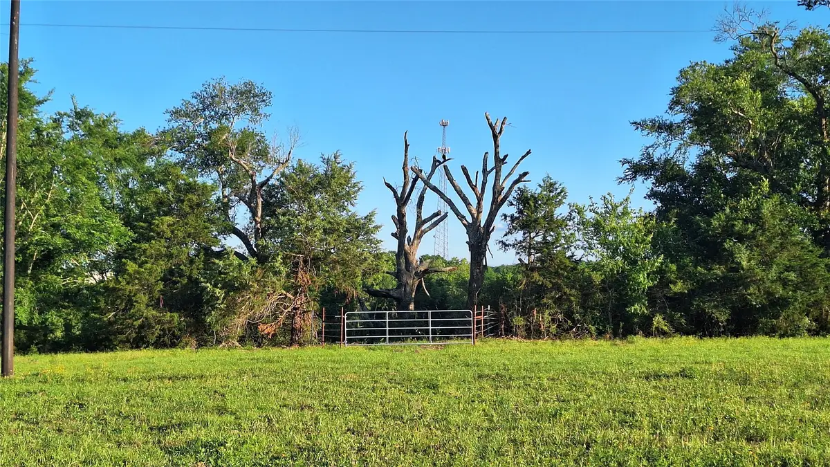 18155 Wellmann Road, Washington, TX 77880 - #1