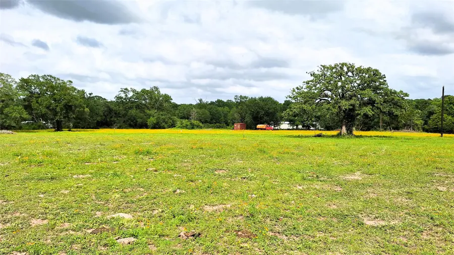 18155 Wellmann Road, Washington, TX 77880 - #2