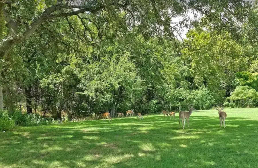 1912 Santa Cruz Circle, Leander, TX 78645 - #2