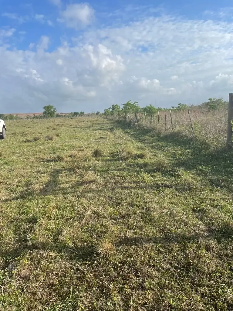 1010 County Road 595 Drive, Angleton, TX 77515 - #3