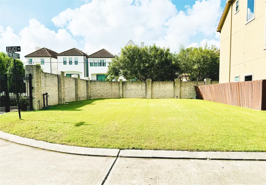 5515 Felice Drive, Houston, TX 77081 - Image #3