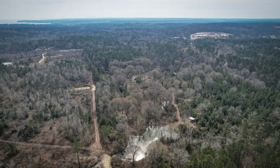 495 Pinecrest Drive, Point Blank, TX 77364 - #2