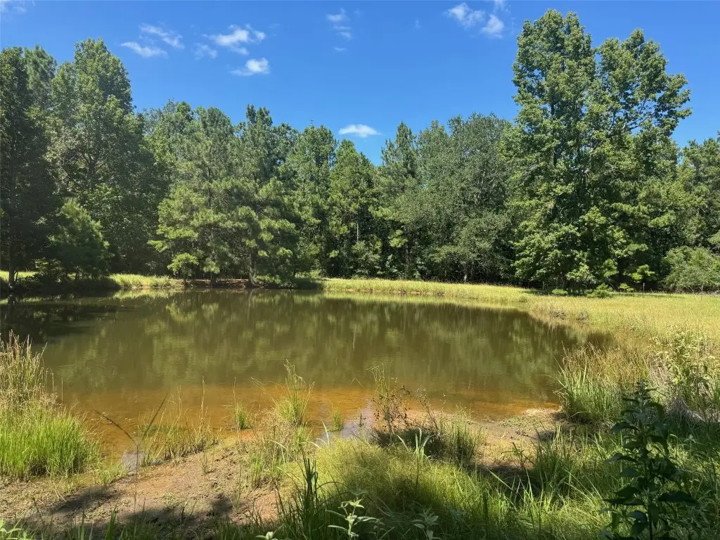 390 Pr 5200, Kennard, TX 75847 - #1