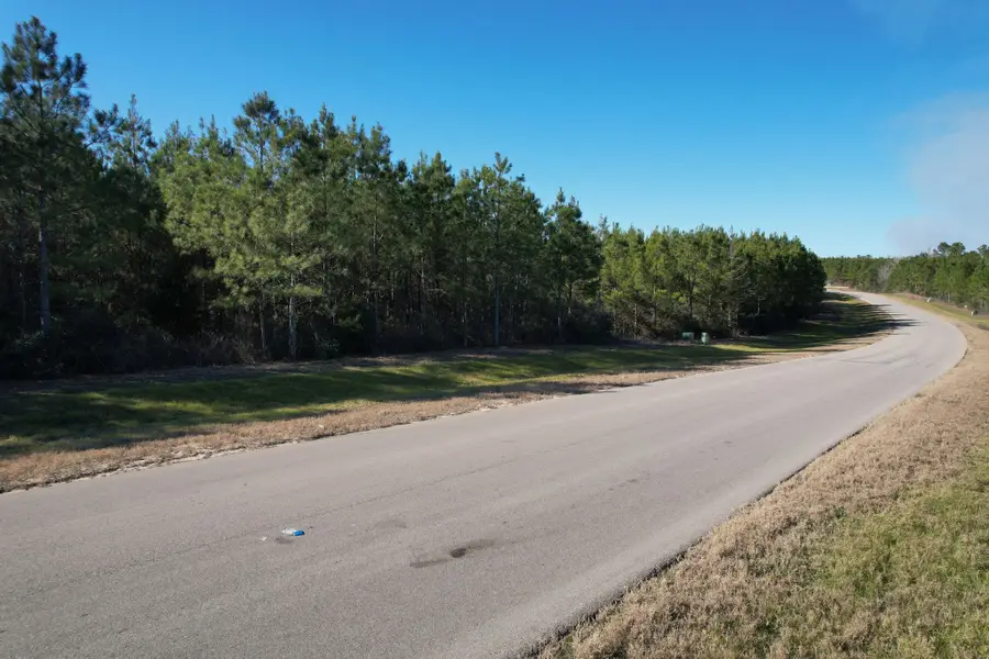 15991 Wood Grove Way, Willis, TX 77378 - Image #3