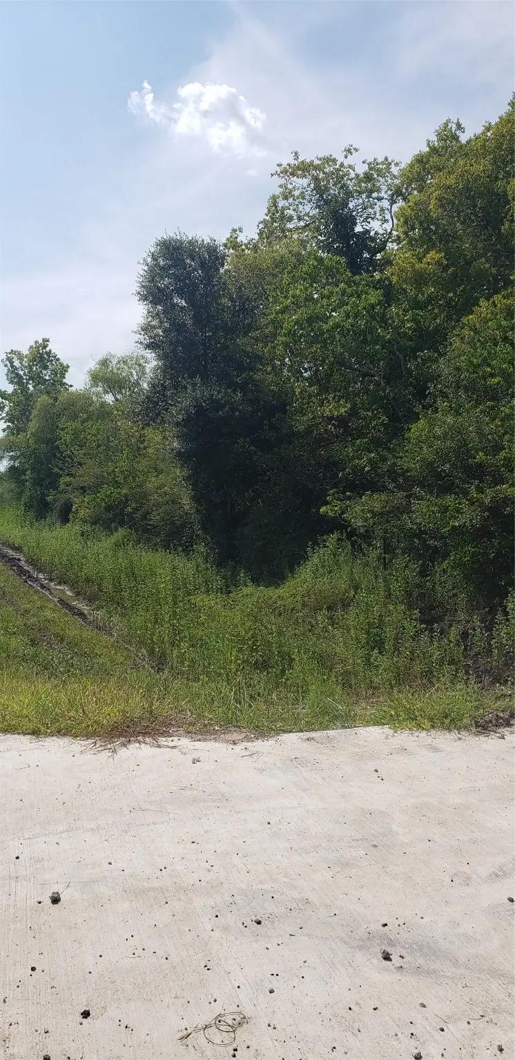 0 Fm 2234, Houston, TX 77053 - Image #1