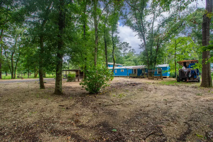321 Oak Forest Drive, Shepherd, TX 77371 - #2