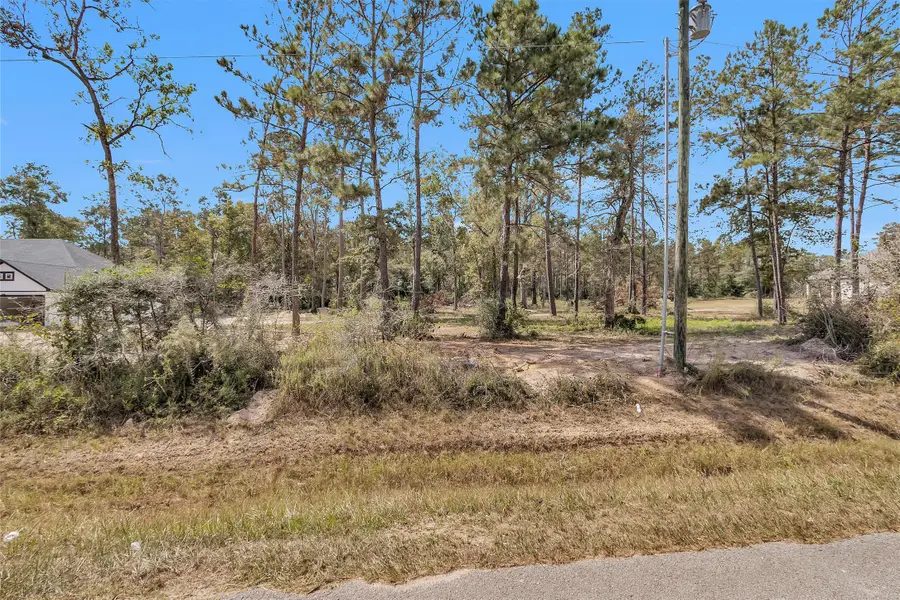 8550 Timber Switch, Cleveland, TX 77328 - Image #2