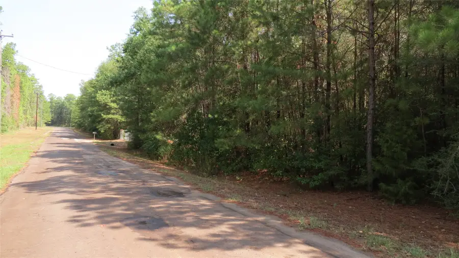 310 Sandy Lane, Woodville, TX 75979 - Image #2