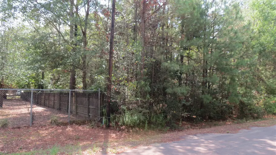 310 Sandy Lane, Woodville, TX 75979 - Image #3