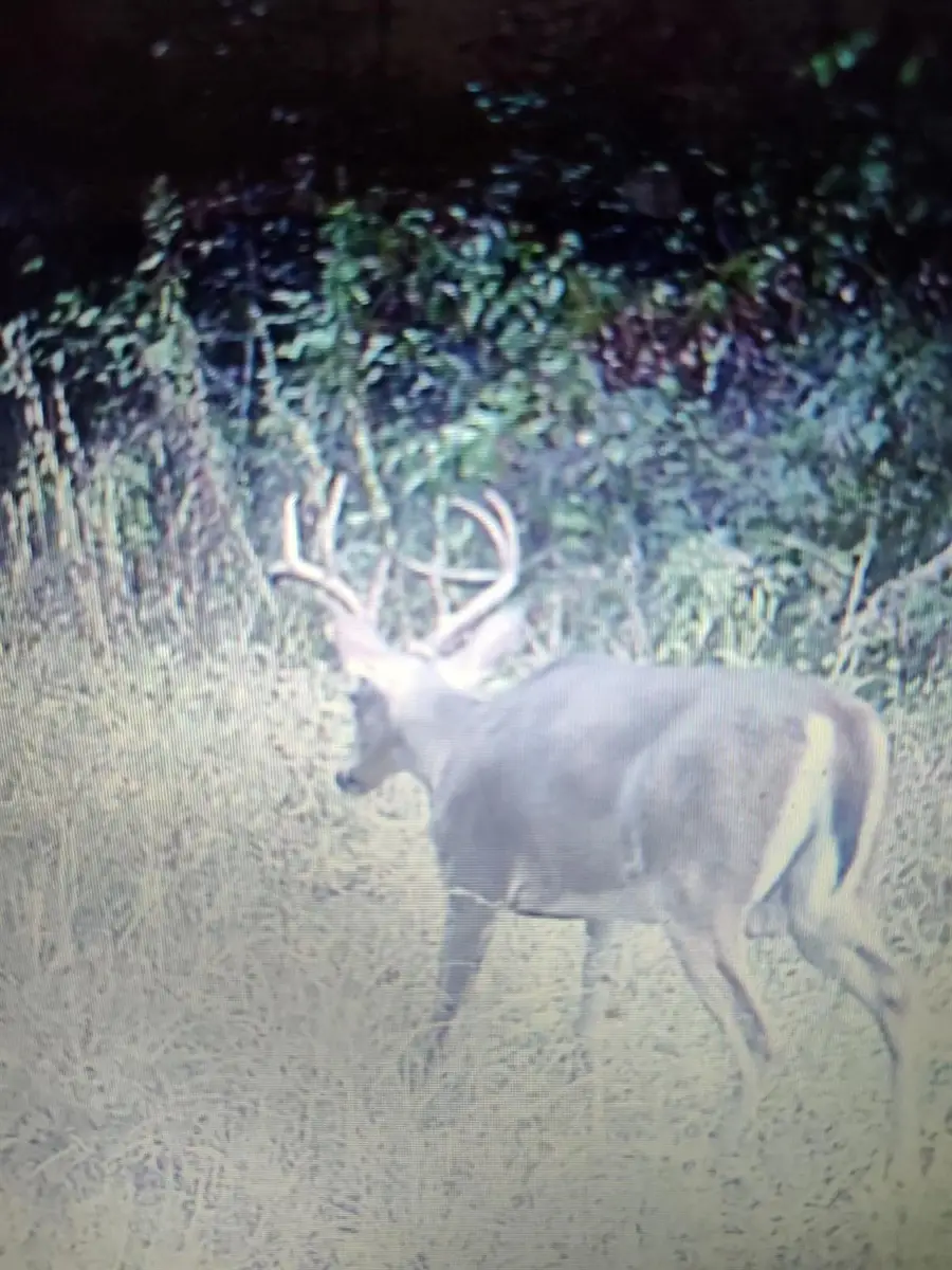 50 Acres : 949 Cr 2061, Hull, TX 77564 - Image #2