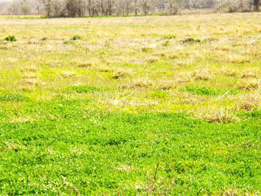 TBD County Road 169, Garwood, TX 77442 - #3