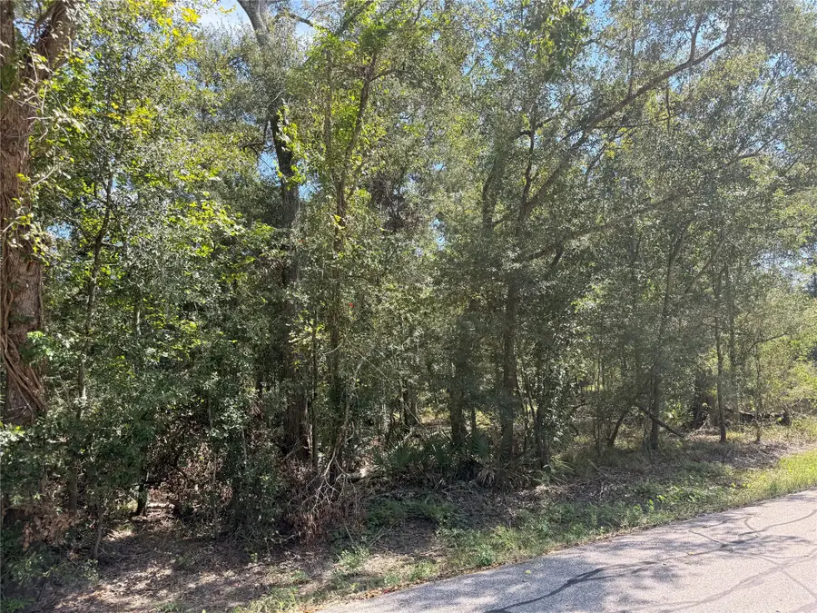 20687 Live Oak Drive, Damon, TX 77430 - #2