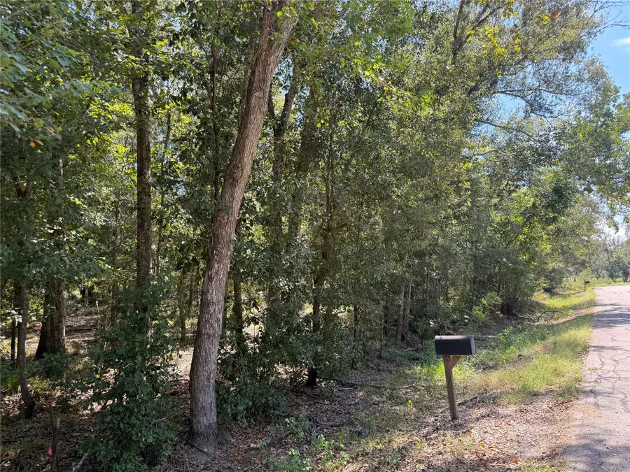 20687 Live Oak Drive, Damon, TX 77430 - #3