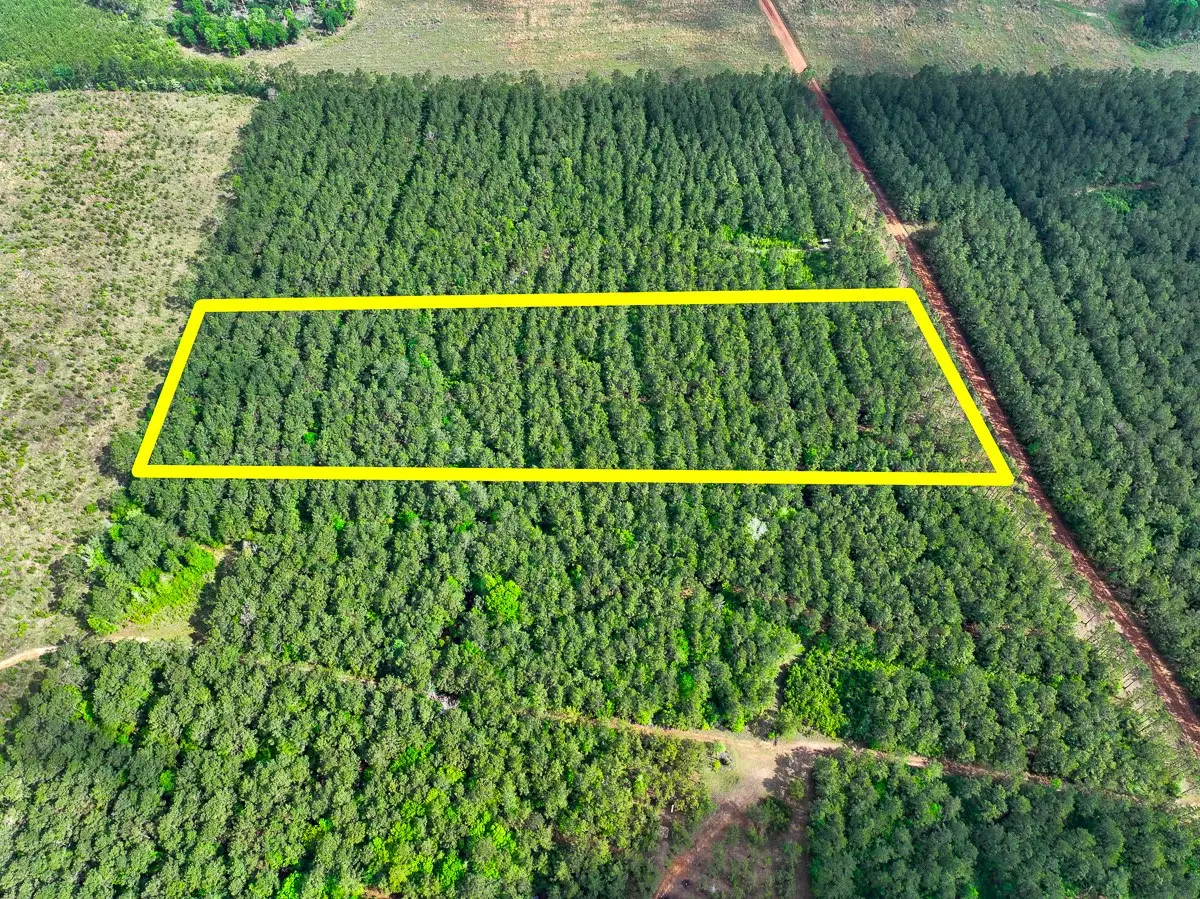 0 T-3 Benny Griffen Road, Livingston, TX 77351 - #1