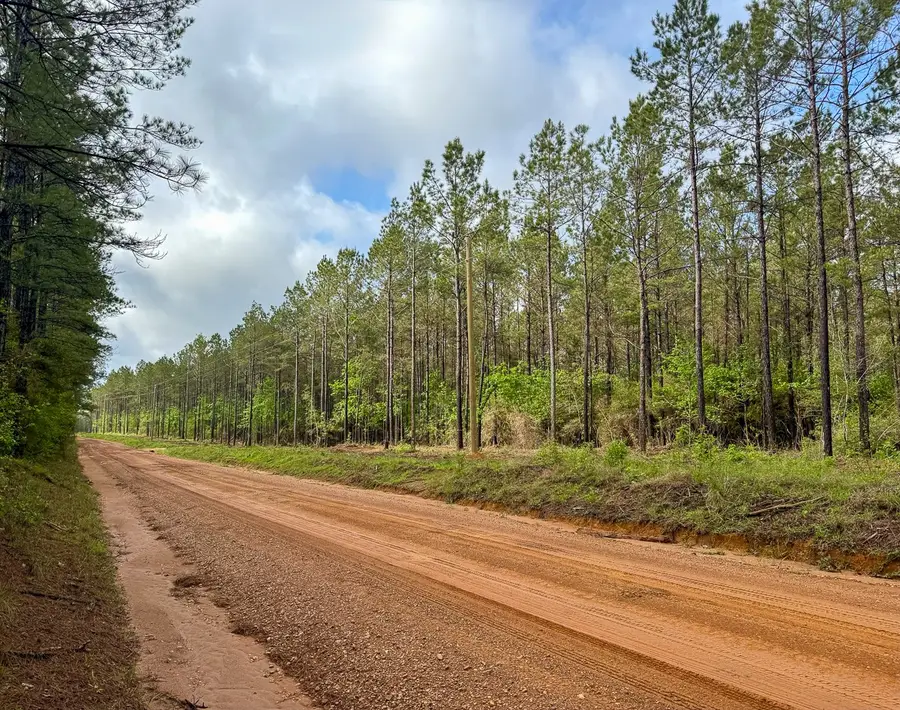 0 T-3 Benny Griffen Road, Livingston, TX 77351 - #3