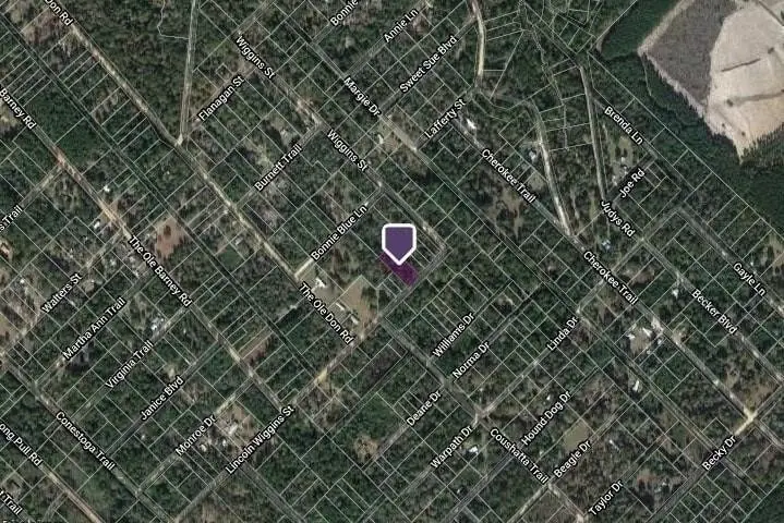 00 N Lincoln Wiggins Street, Livingston, TX 77351 - #2