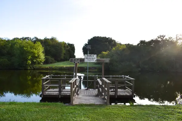 494 Catamaran Circle, Blessing, TX 77419