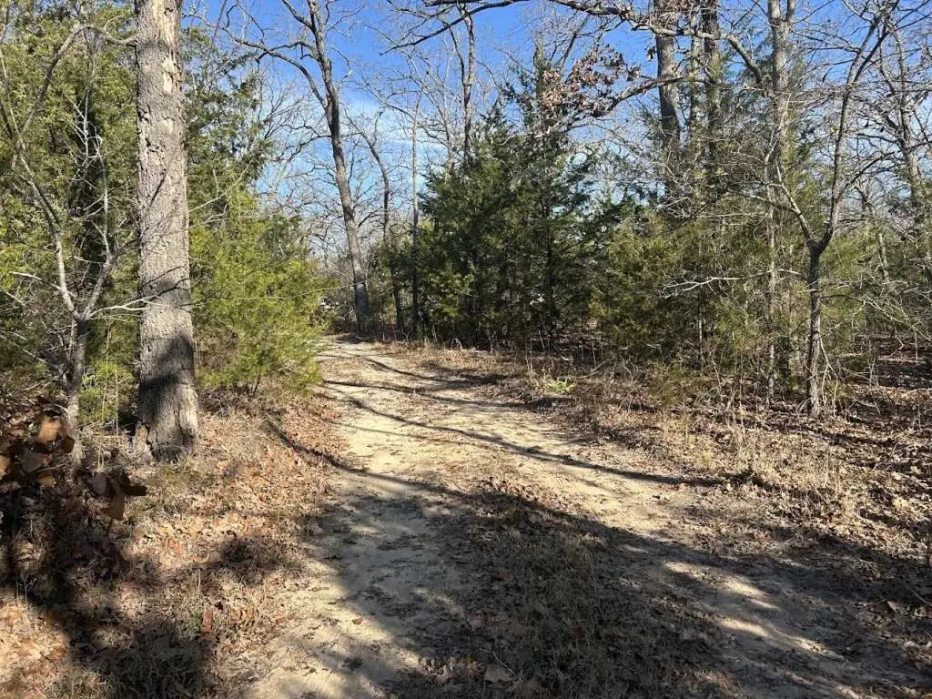 0 Lots 782-783, 786-787 Faye, Hawk Cove, TX 75474 - Image #1