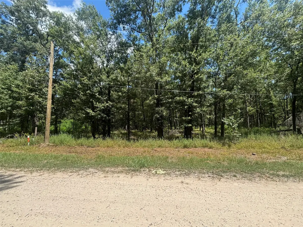 0 San Juan, Livingston, TX 77351 - Image #1