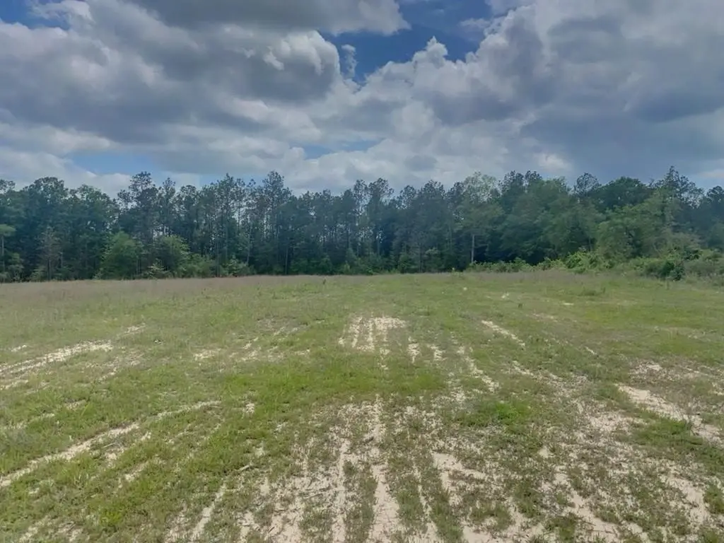 3051 County Road 1700, Warren, TX 77664 - Image #1