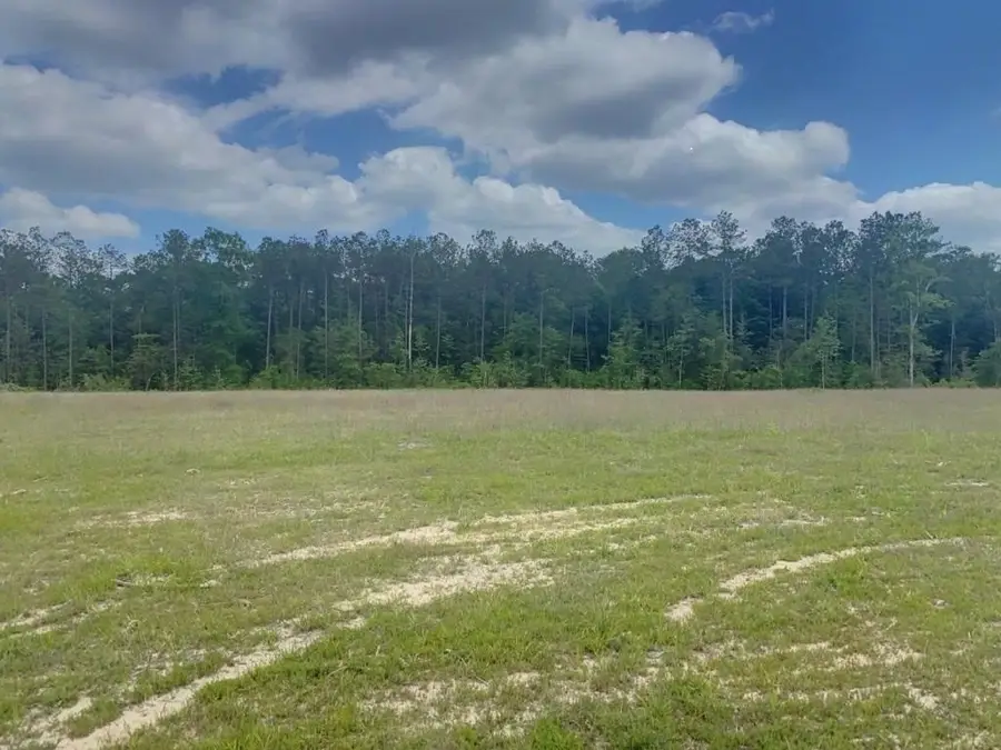 3051 County Road 1700, Warren, TX 77664 - Image #2