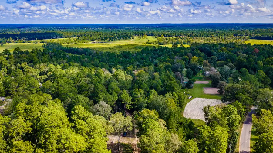TBD Old Israel Road, Livingston, TX 77351 - #2