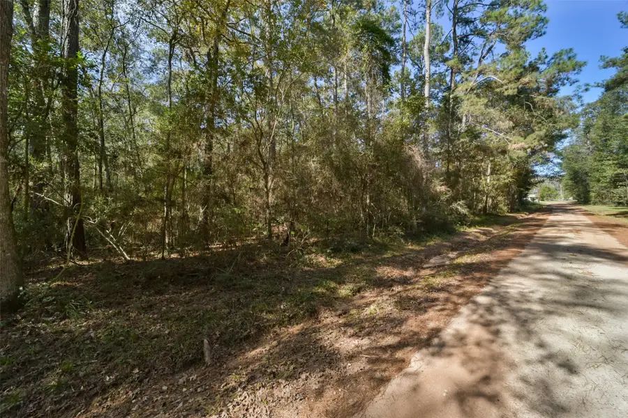 0 Bob Wahle Lane, Coldspring, TX 77331 - Image #3