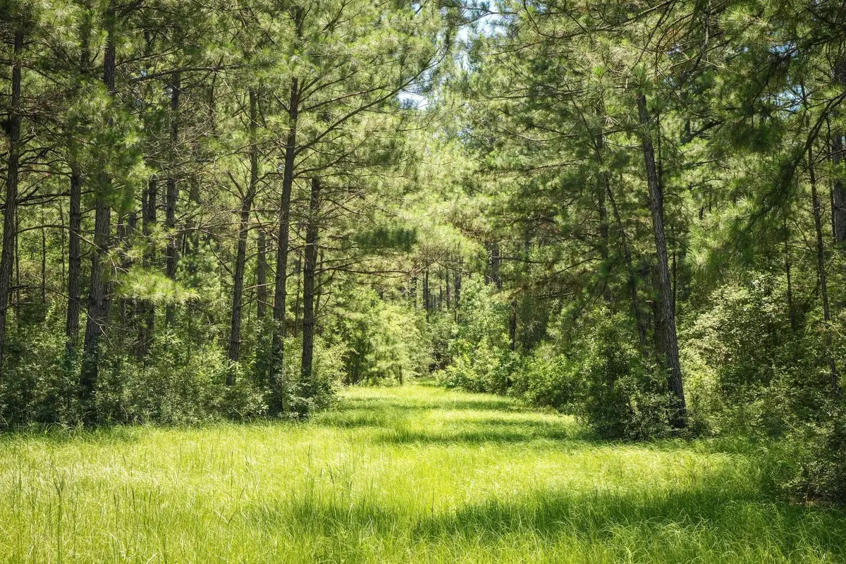 850 County Road 4390, Hillister, TX 77624 - Image #1