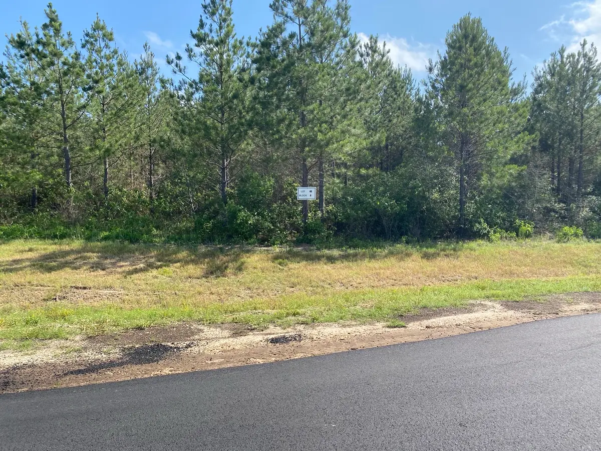 11873 Moss Grove Court, Willis, TX 77378 - Image #1