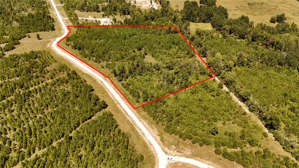 Tract 100 Robertson Road, Lovelady, TX 75851