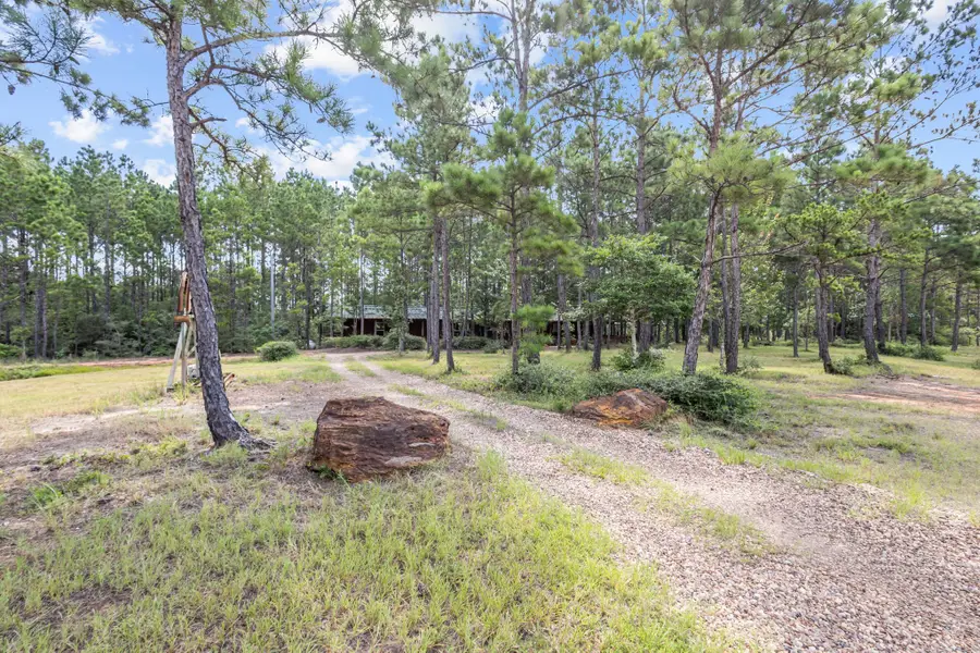 9250 E Fm 942, Livingston, TX 77351 - #3