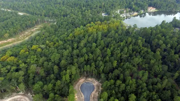 46-34-15 Alamo Drive, Huntsville, TX 77340