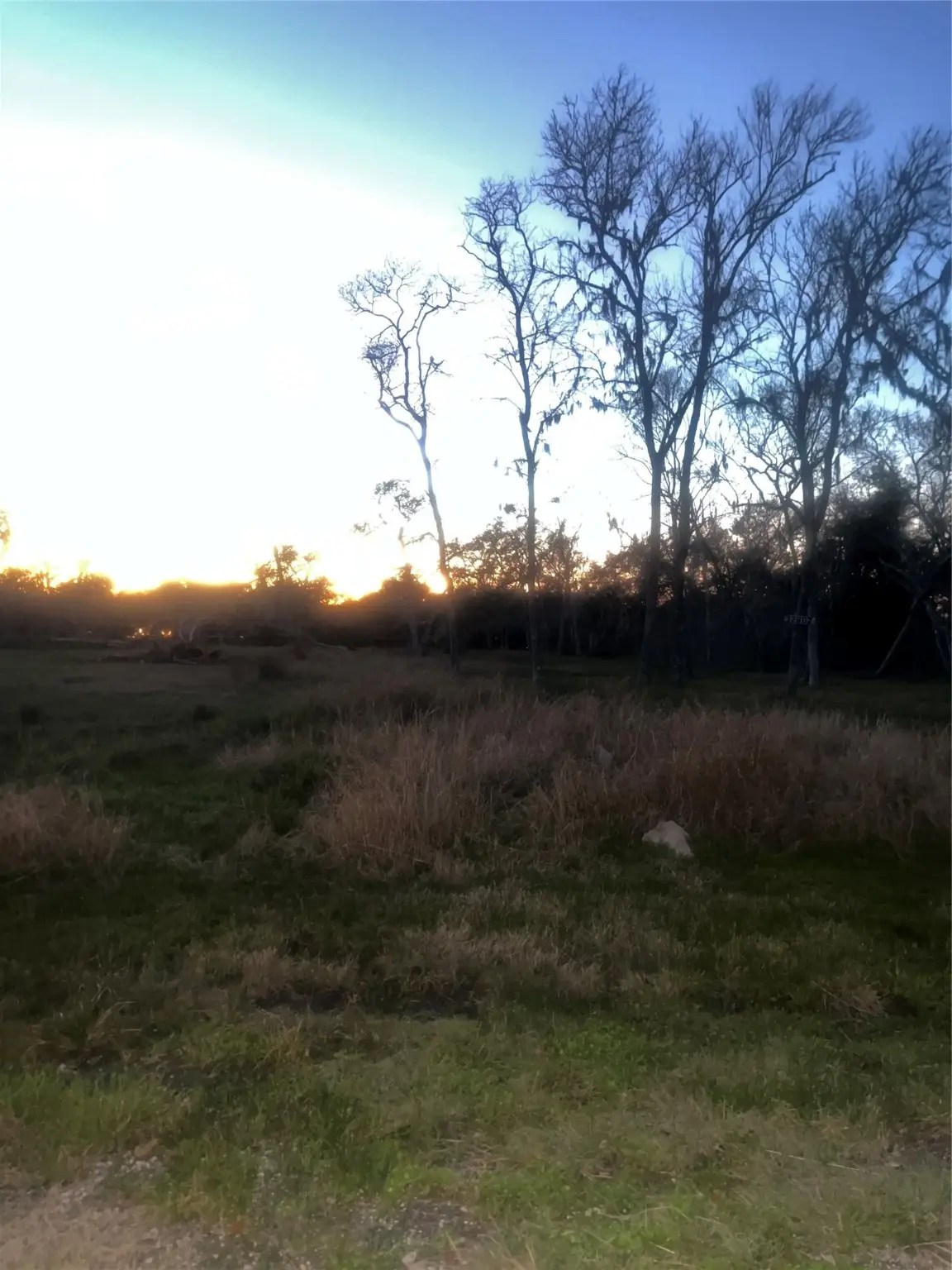 32602 Bayou Bend, Richwood, TX 77515 - Image #1