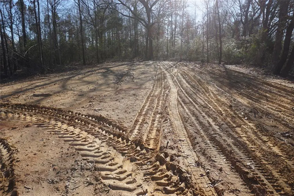 9061 Private Road 2851, Buffalo, TX 75831 - Image #1