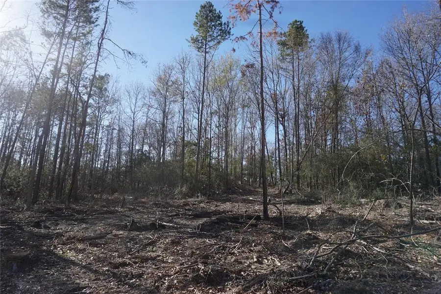 9061 Private Road 2851, Buffalo, TX 75831 - Image #3