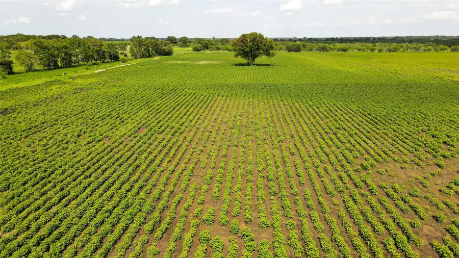 00 Felder Road, Washington, TX 77880 - Image #2