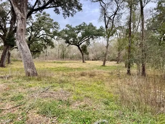 3747 County Road 611, Angleton, TX 77515 - Image #1