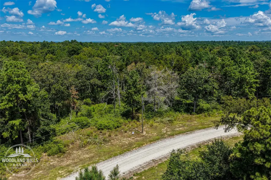10 Acres Lot 81 Woodland Hills Ranch, Centerville, TX 75833 - #3