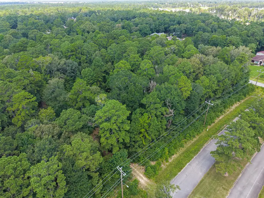 19296 Riverwalk Drive, Porter, TX 77365 - #2