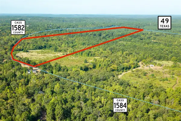 LOT 3 Cr 1584, Avinger, TX 75630