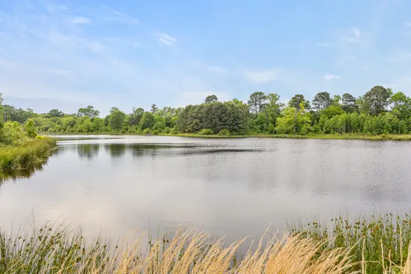 715 Crepe Myrtle Road, Big Sandy, TX 75755