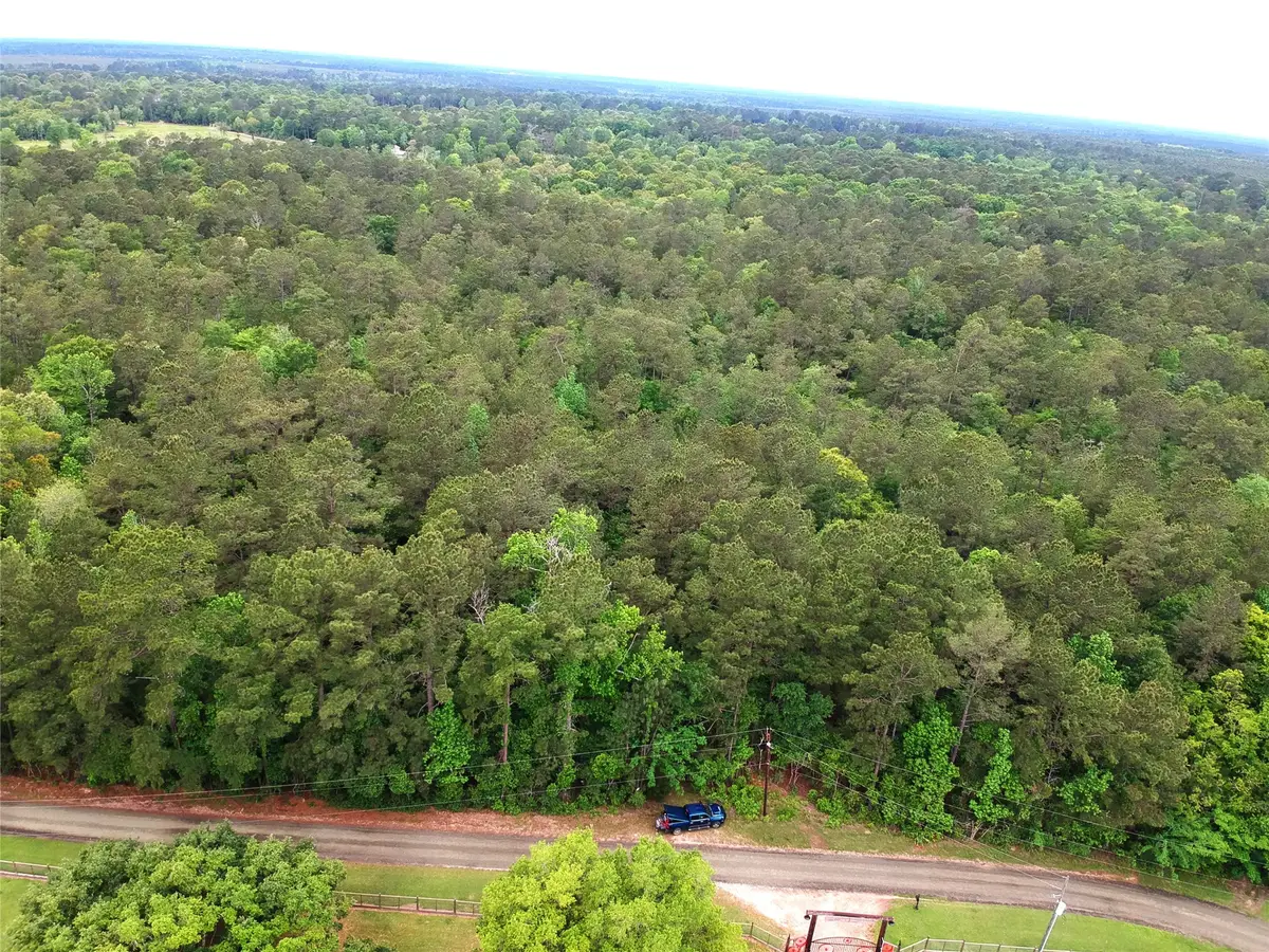 16.7 Acres Co Rd 1375, Warren, TX 77664 - #1