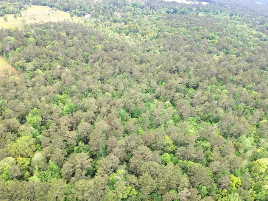 16.7 Acres Co Rd 1375, Warren, TX 77664 - #2