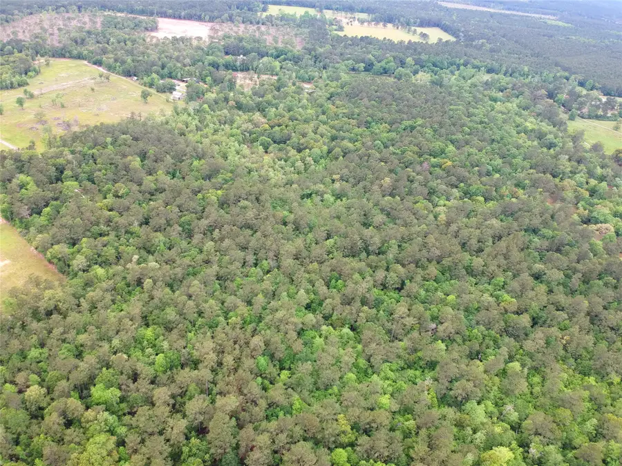 16.7 Acres Co Rd 1375, Warren, TX 77664 - #3